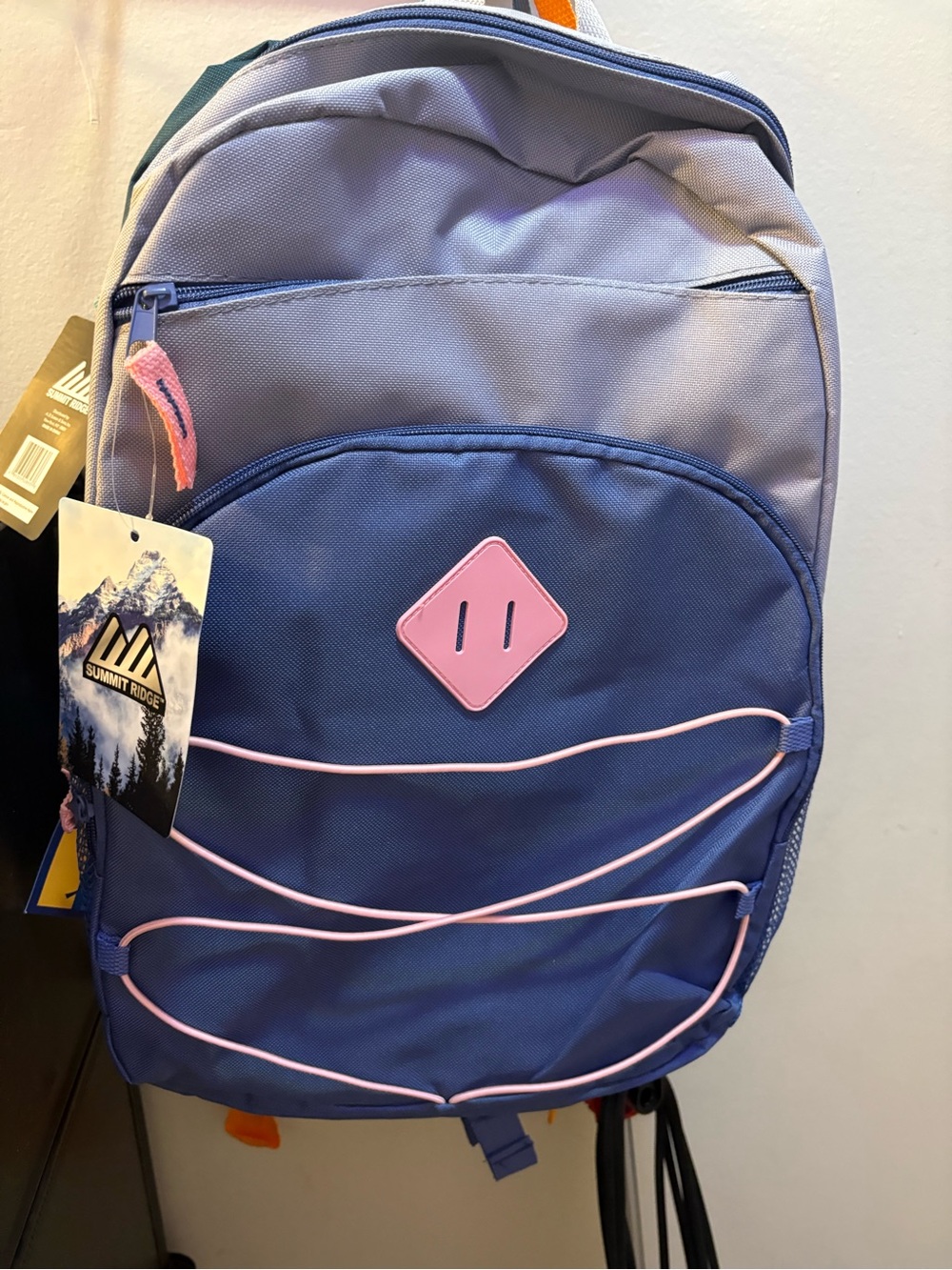Kids Blue and Pink School Backpack